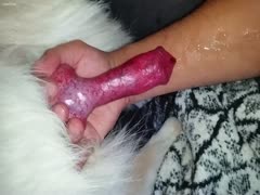 A man putting his dog on his arm to come